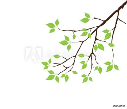 Picture of vector tree branch with green leaves